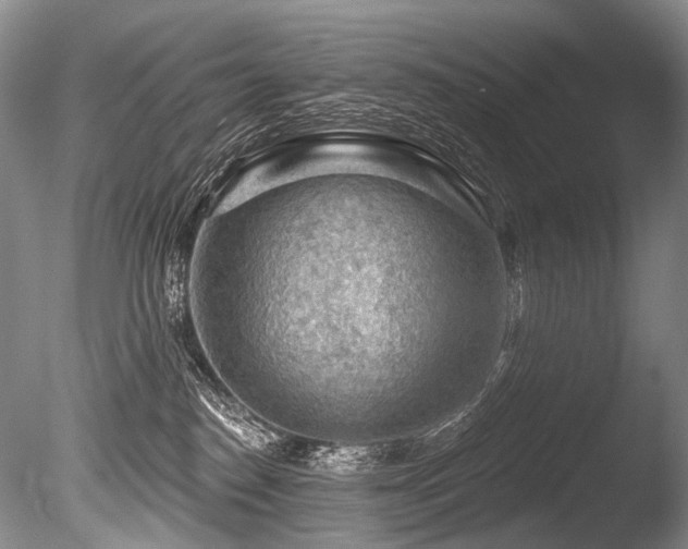 X0000086320186200703301227