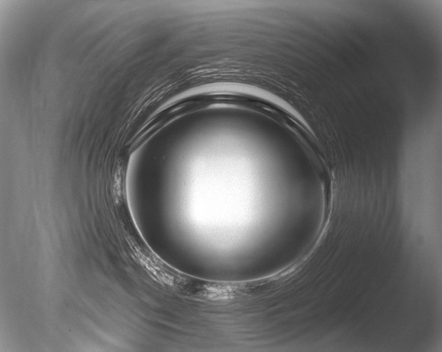 X0000086320190200703301228