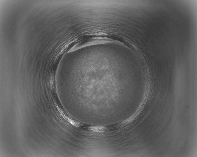 X0000086320192200703301228