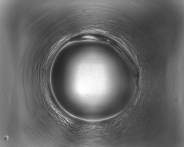 X0000086320193200703301227