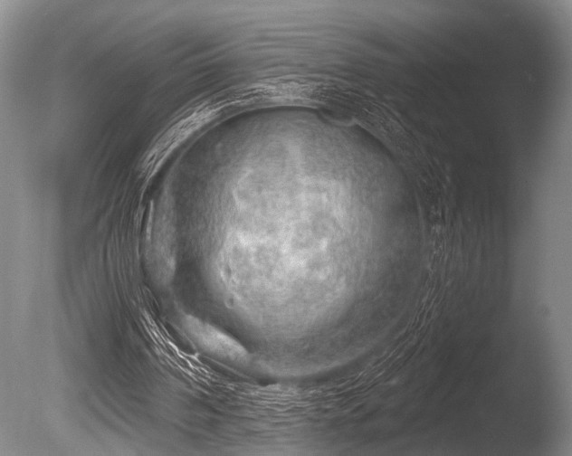 X0000086320194200703301227