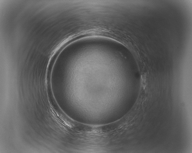 X0000086320196200703301227
