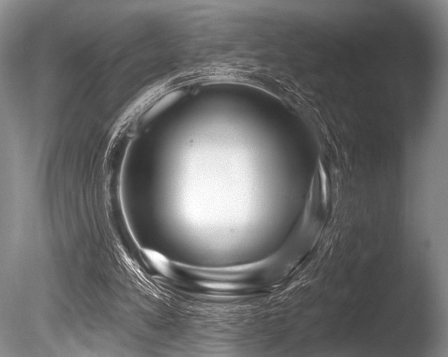 X0000086320197200703301227