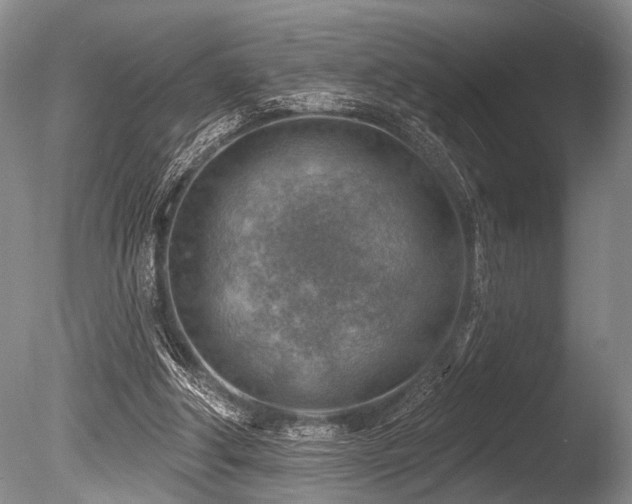 X0000086320202200703301227