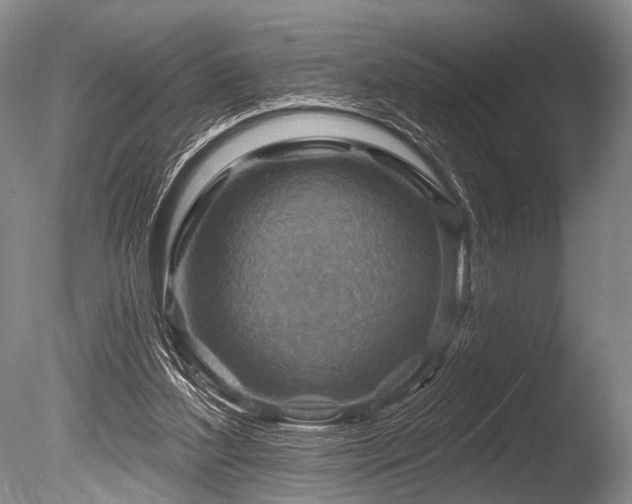 X0000086320204200703301227