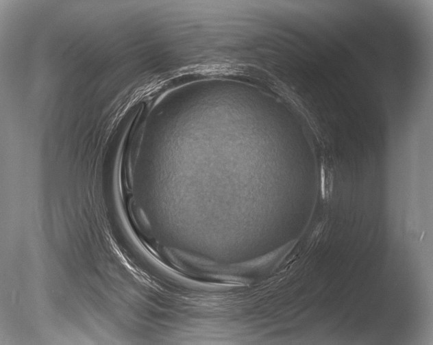 X0000086320205200703301227