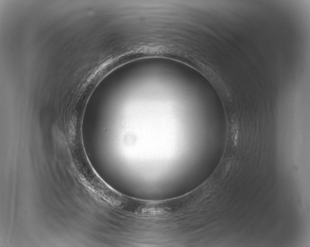 X0000086320208200703301226