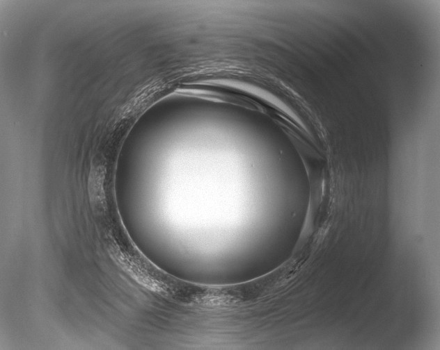 X0000086320209200703301226