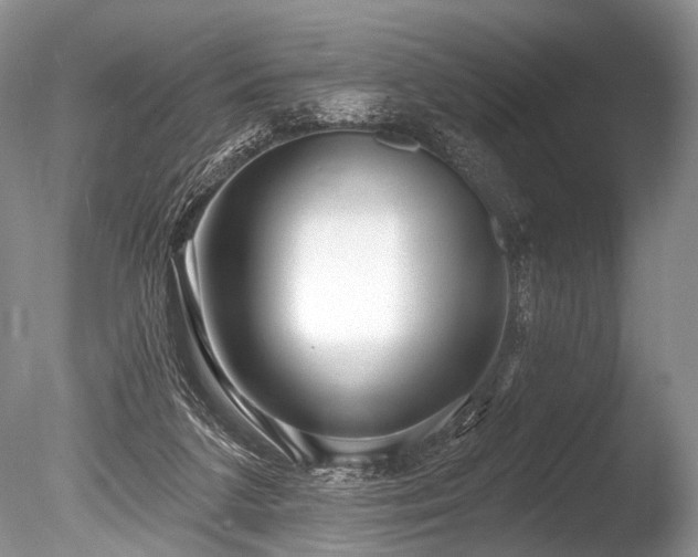 X0000086320211200703301226