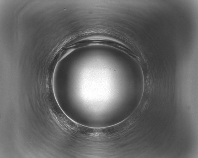 X0000086320212200703301226