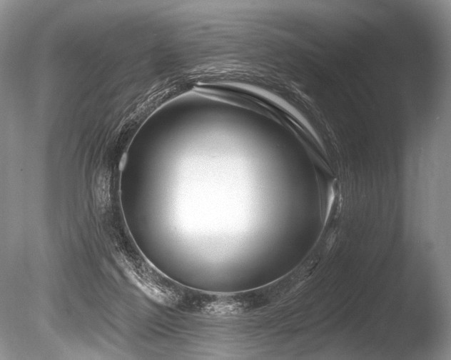X0000086320213200703301226