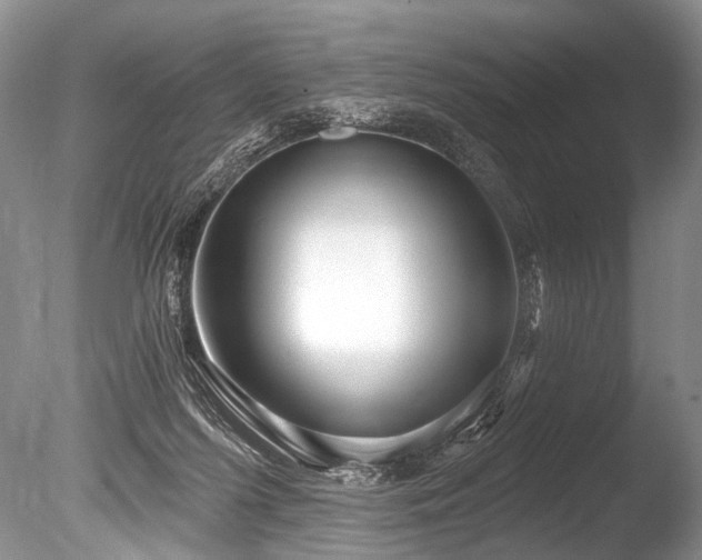 X0000086320215200703301226