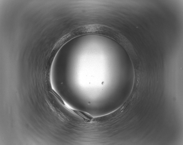 X0000086320216200703301226