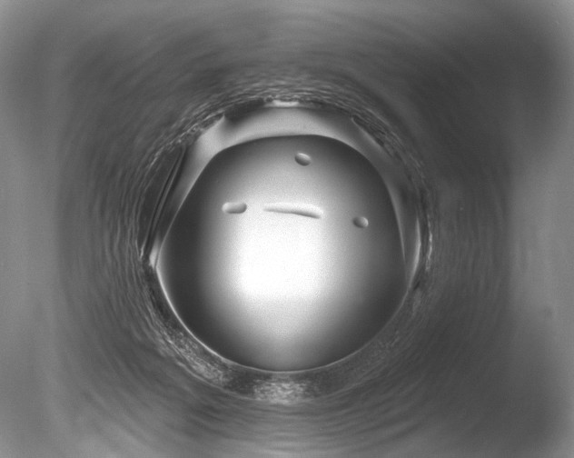 X0000086320217200703301226