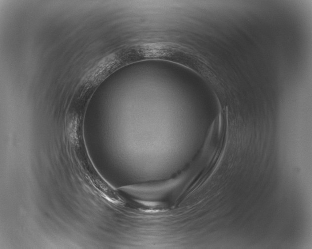 X0000086320219200703301226