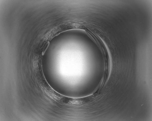 X0000086320221200703301226