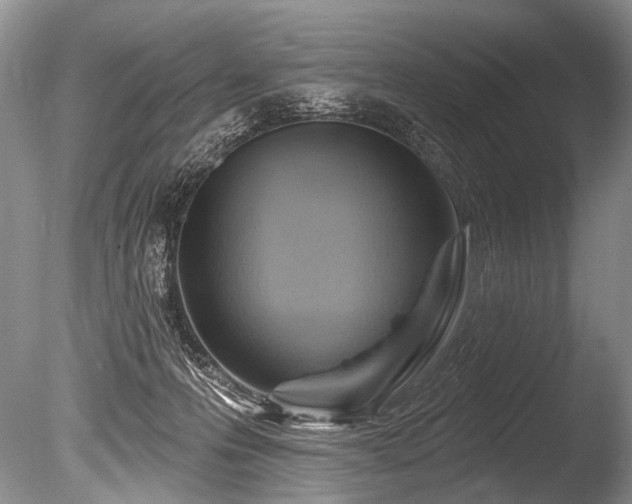 X0000086320223200703301226