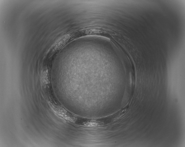 X0000086320224200703301226