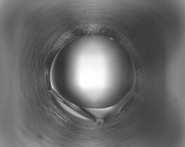 X0000086320225200703301226