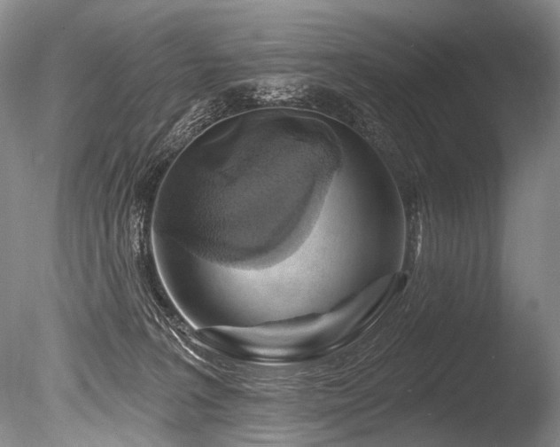 X0000086320227200703301226