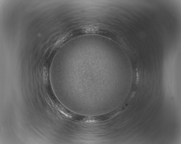 X0000086320228200703301226