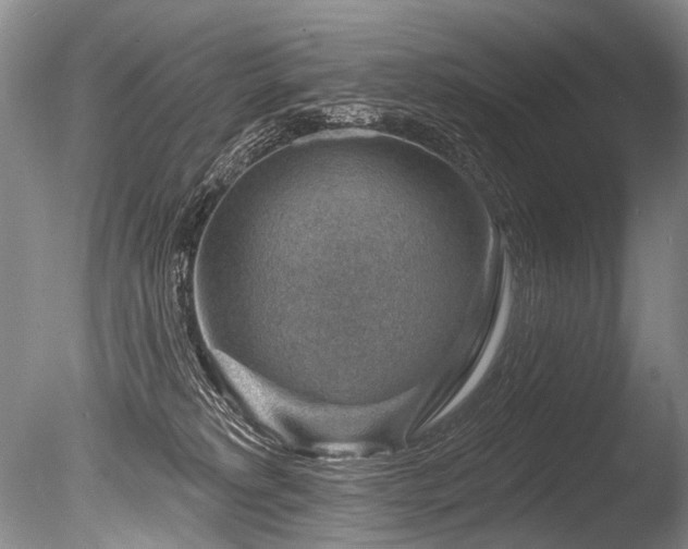 X0000086320229200703301226