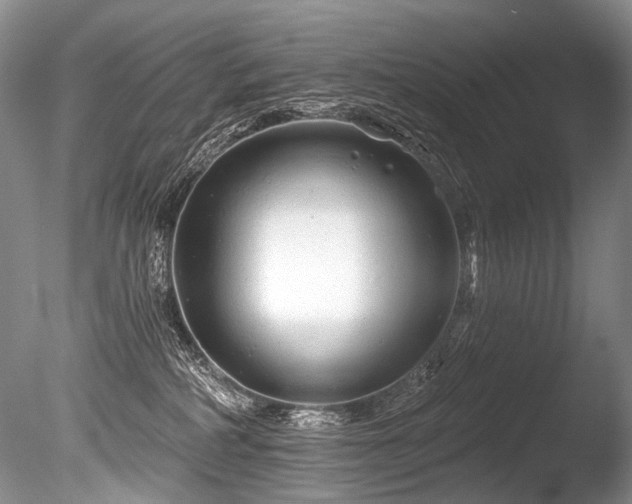 X0000086320234200703301226
