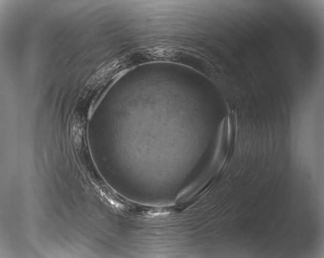 X0000086320235200703301226