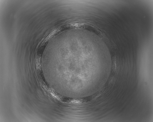 X0000086320236200703301226