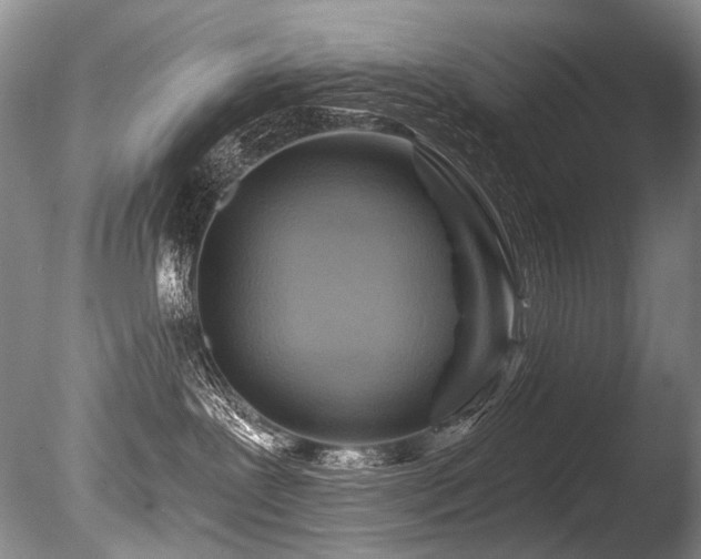 X0000086320239200703301226
