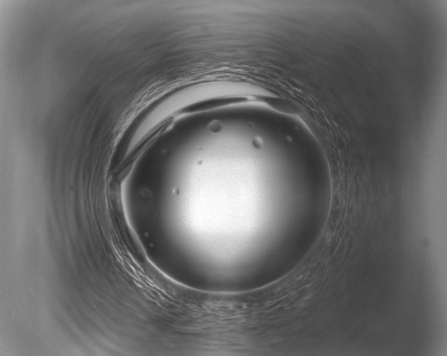 X0000086320242200703301225