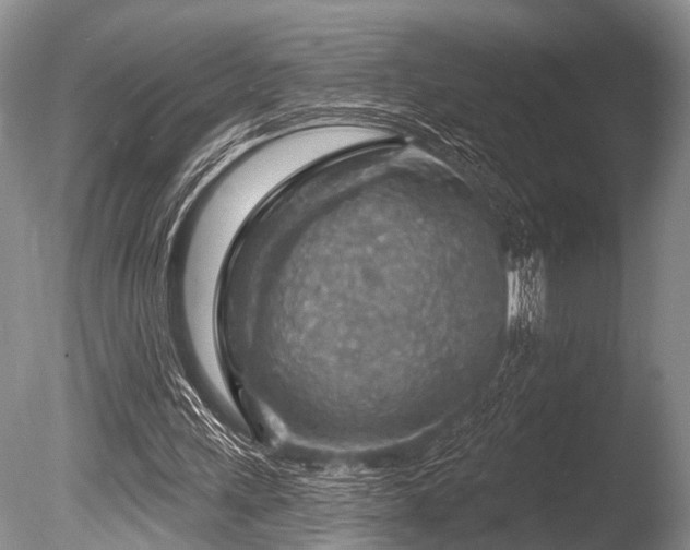 X0000086320243200703301225