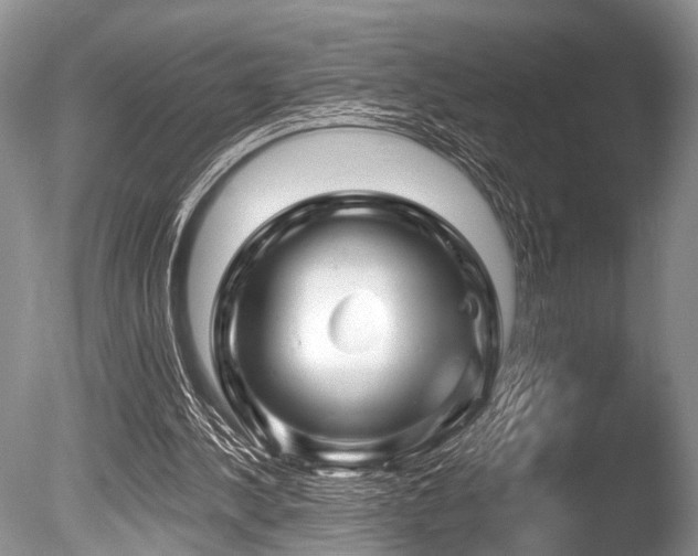 X0000086320244200703301225