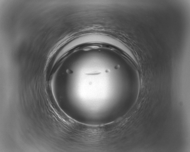 X0000086320245200703301225