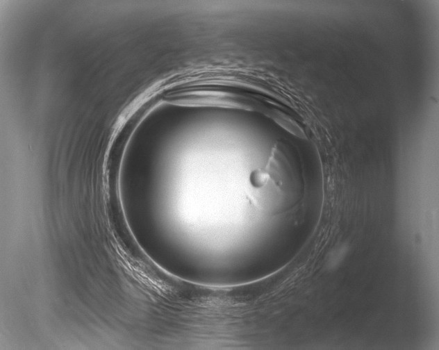 X0000086320246200703301225
