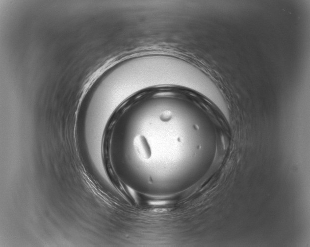 X0000086320248200703301225