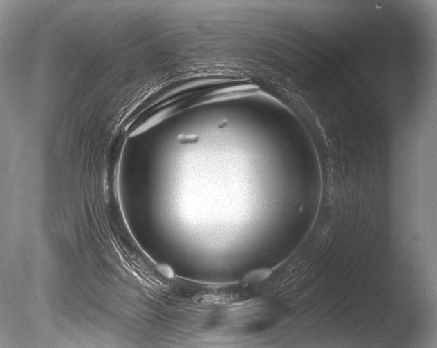 X0000086320251200703301225