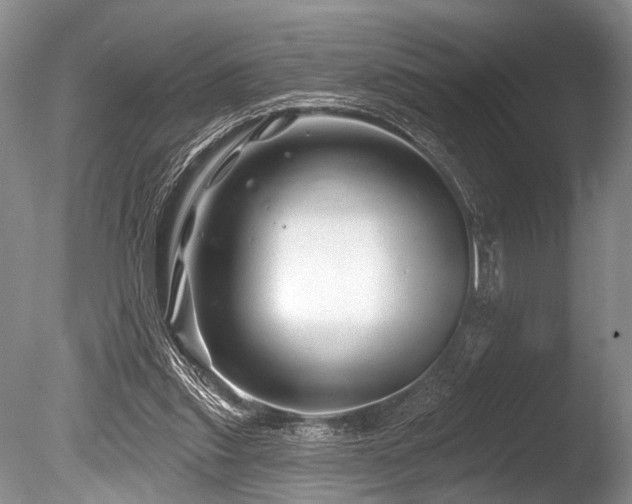 X0000086320253200703301225