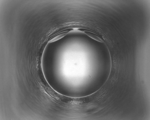 X0000086320255200703301225