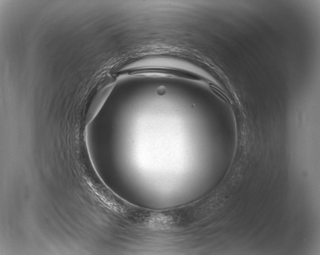 X0000086320257200703301225