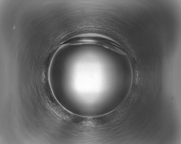 X0000086320259200703301225