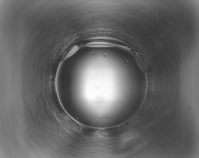 X0000086320263200703301225