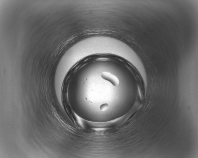 X0000086320264200703301226
