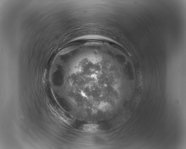 X0000086320266200703301226