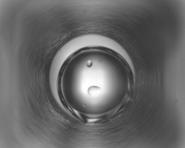 X0000086320268200703301226