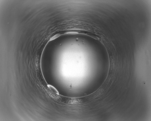 X0000086320274200703301226