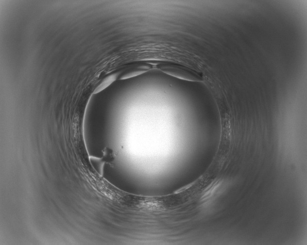 X0000086320283200703301226