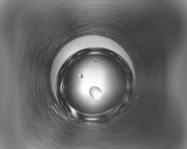 X0000086320284200703301226