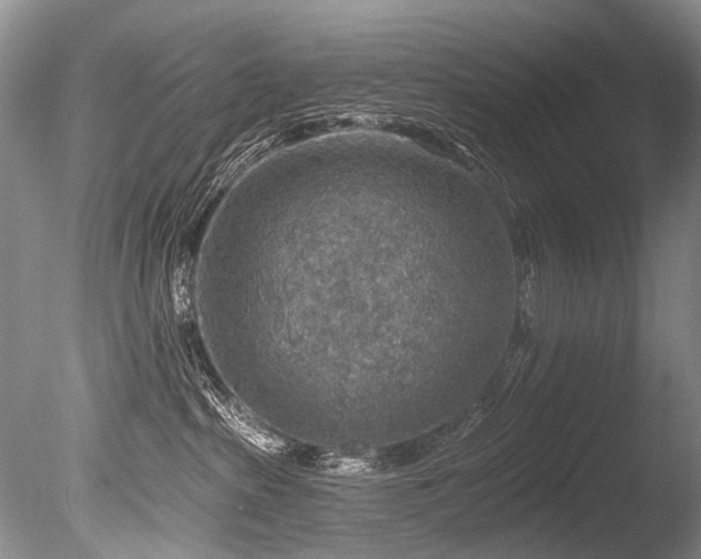 X0000086320285200703301226