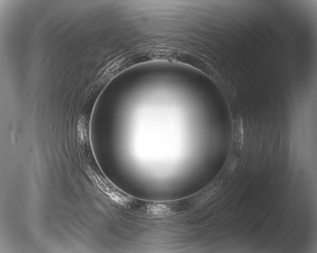 X0000086320287200703301226